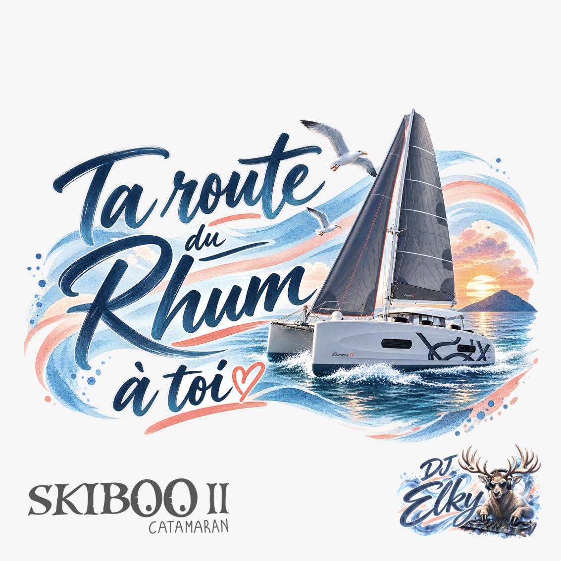 Skiboo II - ta route du Rhum à toi